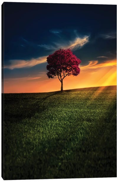 Awesome Solitude Canvas Art Print