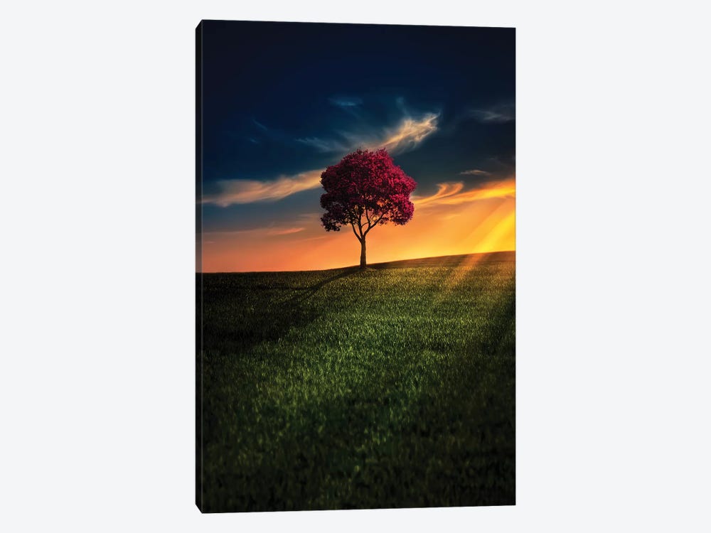 Awesome Solitude by Bess Hamiti 1-piece Canvas Art