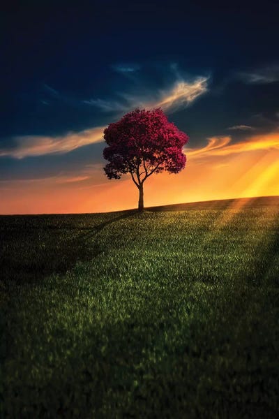 Bess Hamiti: Awesome Solitude by Bess Hamiti