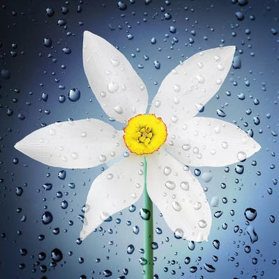 The Paradise Of Flowers After The Rain by Bess Hamiti acrylic art print