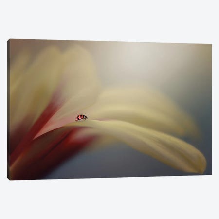 The Journey Canvas Print #OXM4254} by Edy Pamungkas Canvas Wall Art