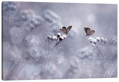 Winter With You Canvas Art Print