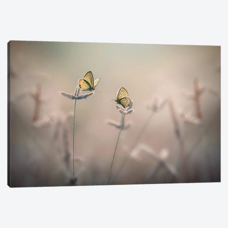 With You III Canvas Print #OXM4266} by Edy Pamungkas Canvas Art Print