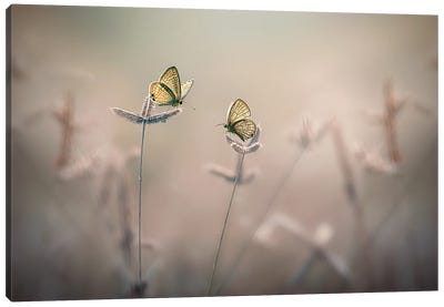 With You III Canvas Art Print