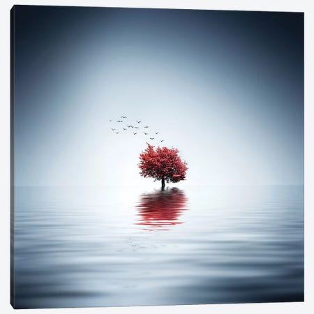 Autumn Trees Reflected Blue Lake Canvas Print #OXM4271} by Bess Hamiti Canvas Print