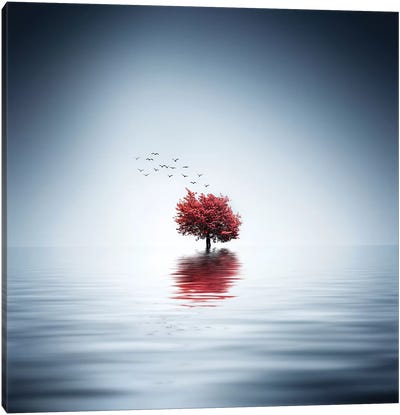 Autumn Trees Reflected Blue Lake Canvas Art Print - Maple Trees