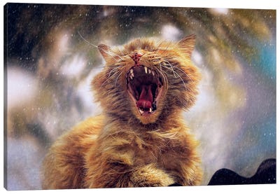 D¡alling Spring Canvas Art Print - Catfight