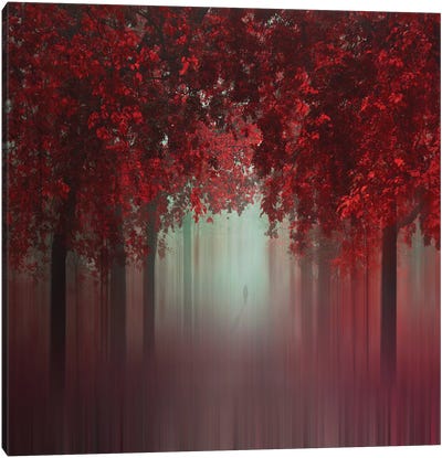 Out Of Love Canvas Art Print - 1x Scenic Photography