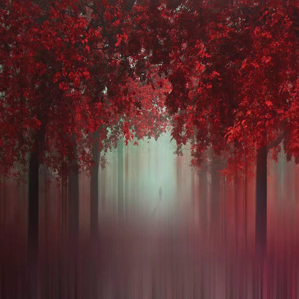 Trails, Paths & Roads: Out Of Love by Ildiko Neer