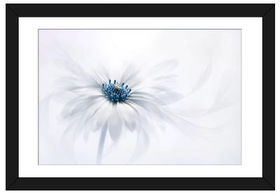 Serenity Paper Art Print - All Products