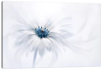Serenity Canvas Art Print - All Products