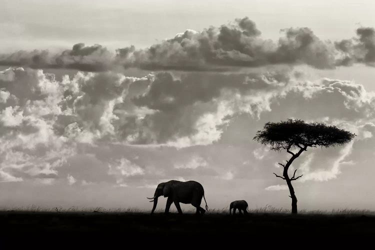 Silhouettes Of Mara