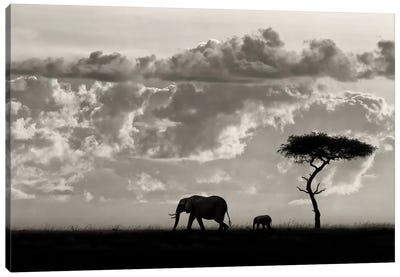 Silhouettes Of Mara Canvas Art Print - Kenya