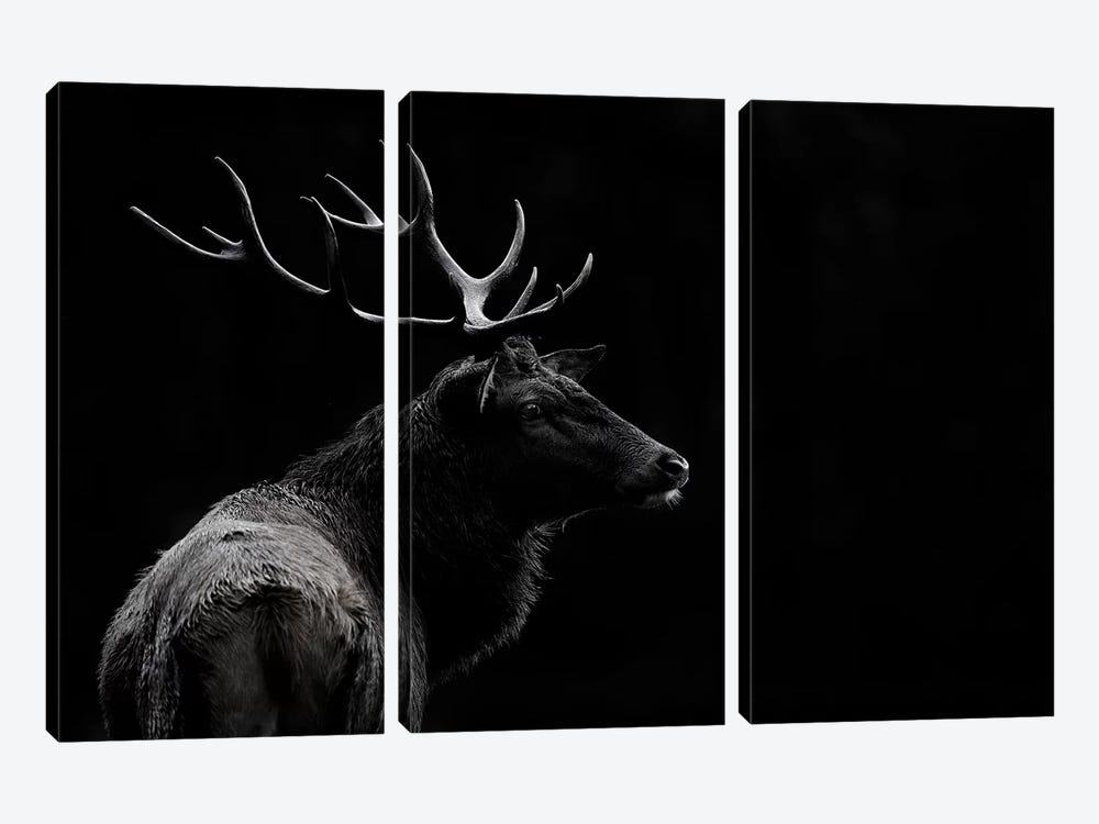 The Deer Soul by Massimo Mei 3-piece Canvas Wall Art
