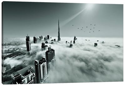 Up Up And Above Canvas Art Print