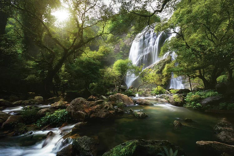 Mountain stream