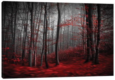 Bloody River Canvas Art Print - Forest Art