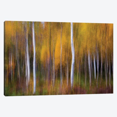 Abstract Fall Canvas Print #OXM4481} by Andreas Christensen Canvas Artwork