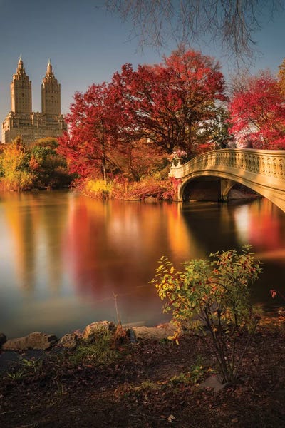 Central Park: Fall In Central Park by Christopher R. Veizaga