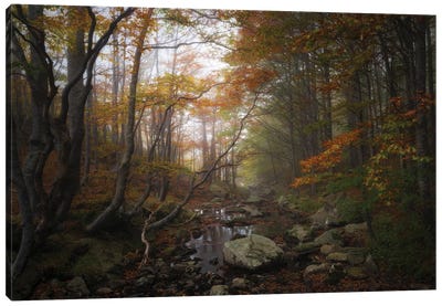 Autumn Canvas Art Print