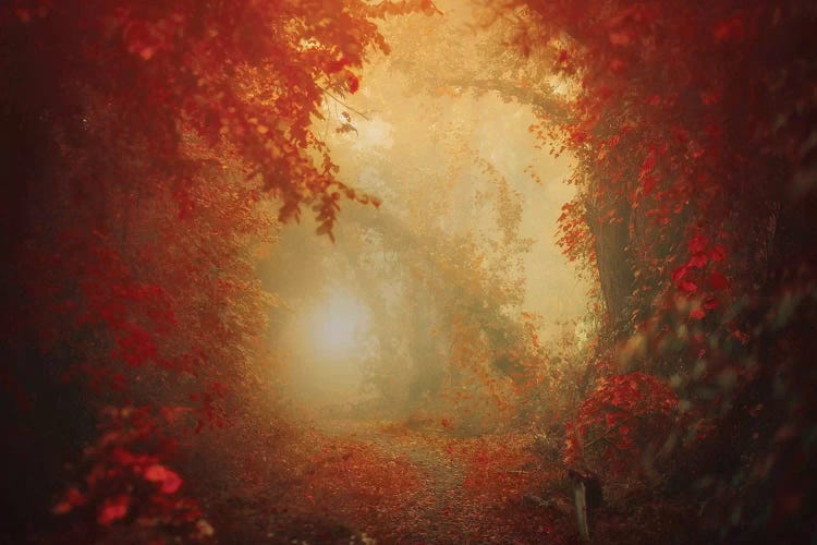 Personal Journey by Ildiko Neer wall art
