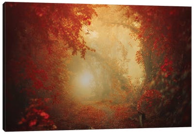 Personal Journey Canvas Art Print - 1x Scenic Photography