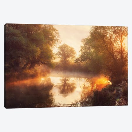 When Nature Paints With Light Ii Canvas Print #OXM4529} by Leicher Oliver Art Print