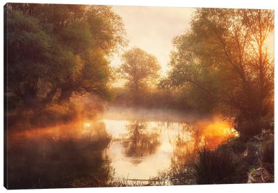 When Nature Paints With Light Ii Canvas Art Print