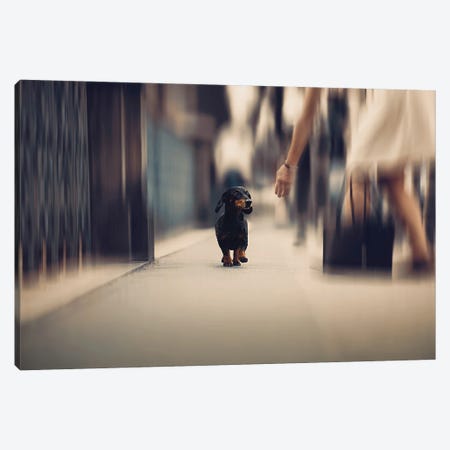 Sometimes We Need A Helping Hand... Canvas Print #OXM4539} by Heike Willers Canvas Artwork