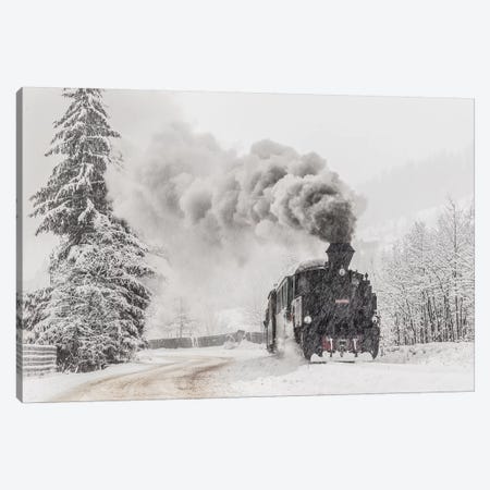 Winter Story Canvas Print #OXM4594} by Sveduneac Dorin Lucian Canvas Art Print