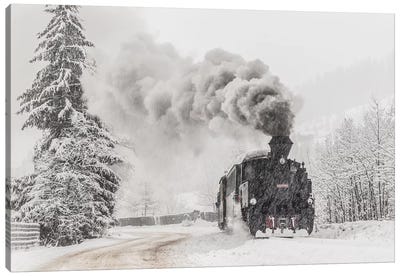 Winter Story Canvas Art Print - Train Art