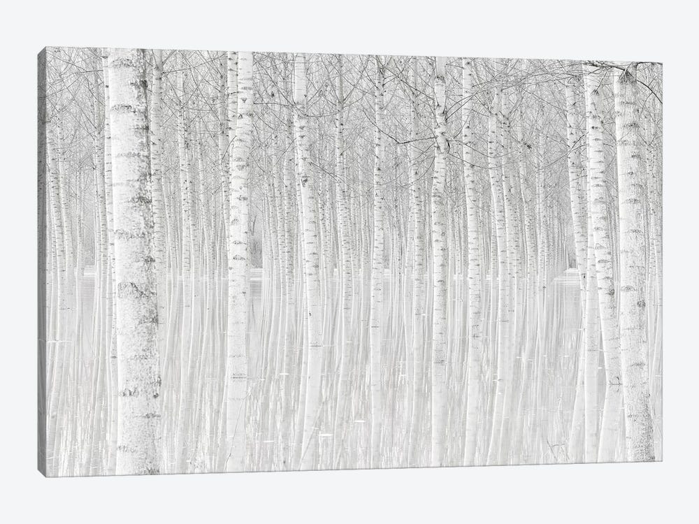 Trees by Aglioni Simone 1-piece Canvas Print