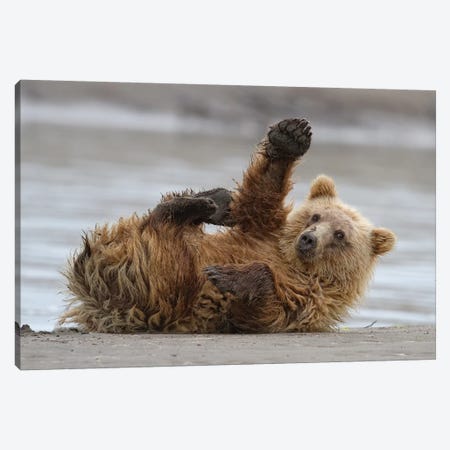 High Five Canvas Print #OXM4628} by Alfred Forns Canvas Artwork