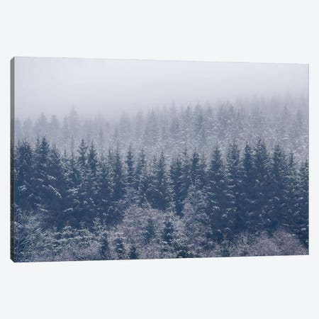 Frozen Trees Canvas Print #OXM4634} by Andreas Christensen Canvas Wall Art