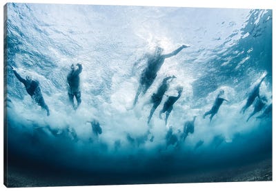 Swim Canvas Art Print