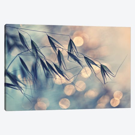 Leaning In The Wind Canvas Print #OXM4662} by Dimitar Lazarov Canvas Artwork