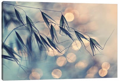 Leaning In The Wind Canvas Art Print