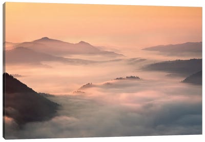 Foggy Morning In The Mountains Canvas Art Print