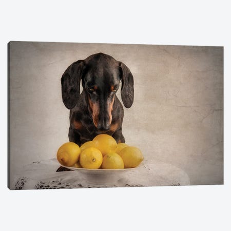 When Life Gives You Lemons... Canvas Print #OXM4688} by Heike Willers Canvas Artwork