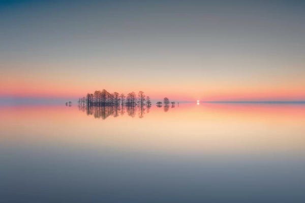North Carolina: Lake Mattamuskeet Memory by Liyun Yu