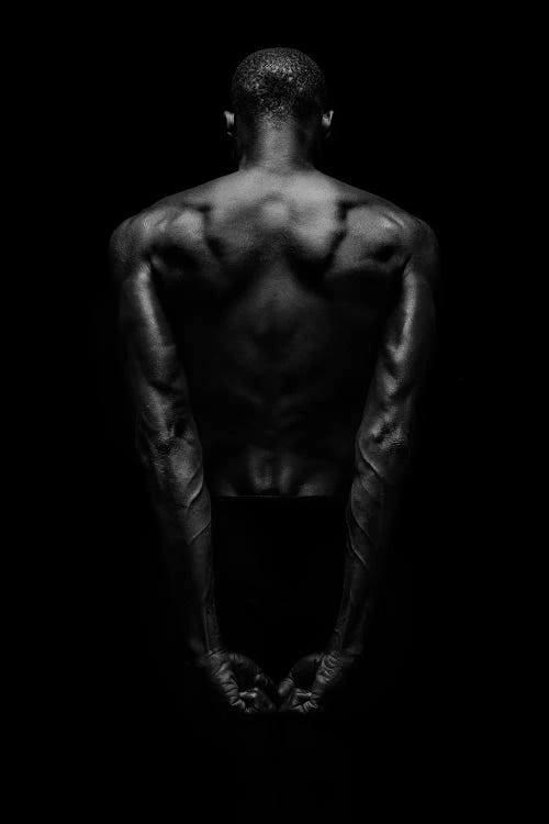 Black Back