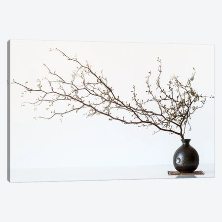 Vase And Branch Canvas Print #OXM4761} by Prbimages Art Print