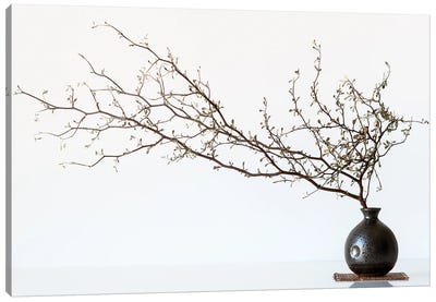 Vase And Branch Canvas Art Print