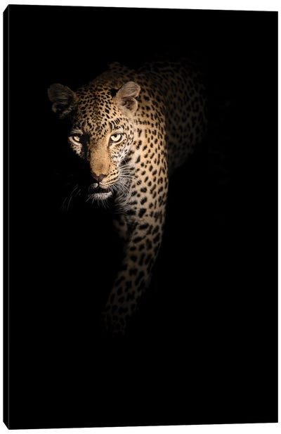 Out Of The Darkness Canvas Art Print