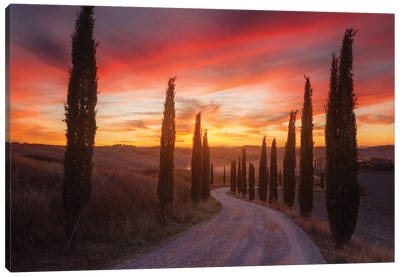 Tuscany Sunset Canvas Art Print
