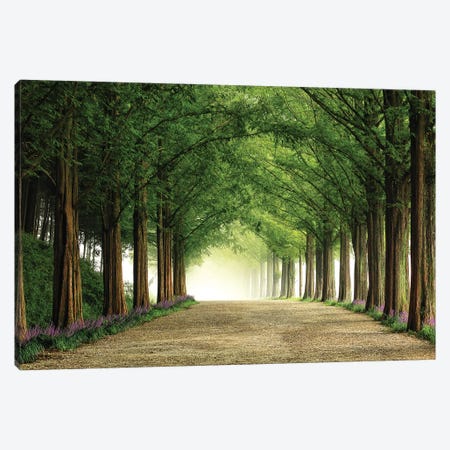 Metasequoia Road Canvas Print #OXM4825} by Tiger Seo Canvas Print