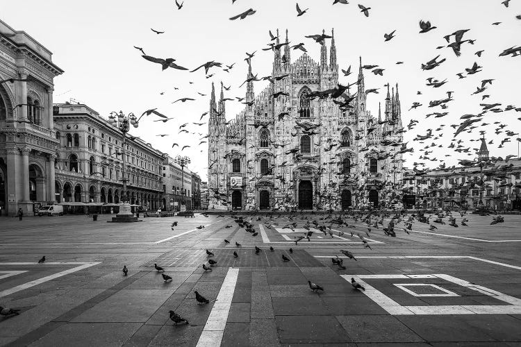Hitchcock In Milano by Tzvika Stein wall art