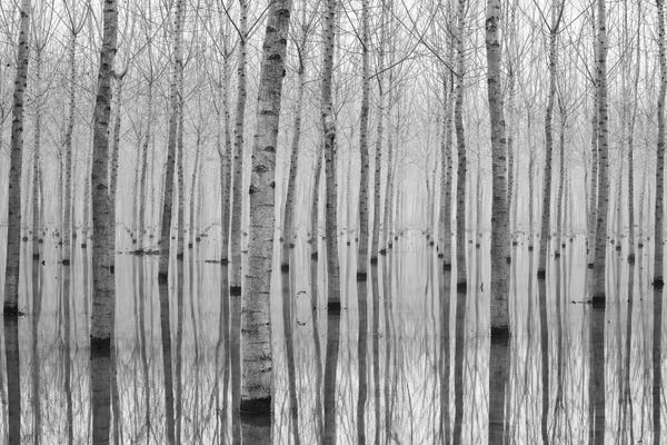 Nature Close-Ups: Novembre 2014 by Aglioni Simone