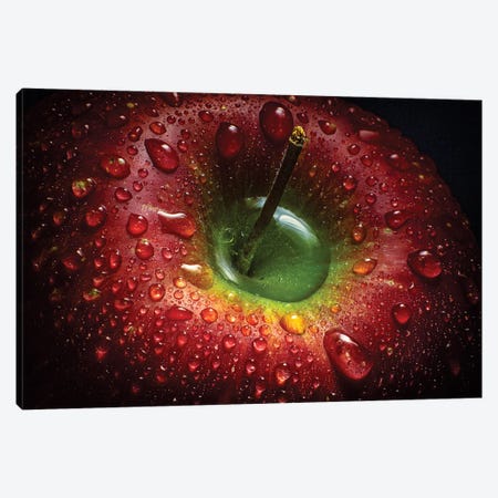 Red Apple Canvas Print #OXM490} by Aida Ianeva Art Print