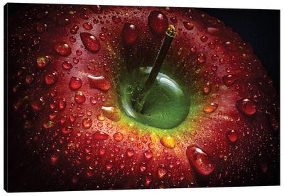 Red Apple Canvas Art Print